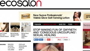 Screen-Shot-2014-04-05-at-11.02.45-AM-300×170[1]